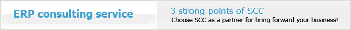 ERPコンサルティングサービス:Choose SCC as a partner for bring forward your business!