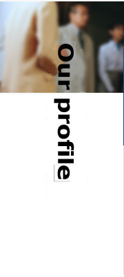 Our profile
